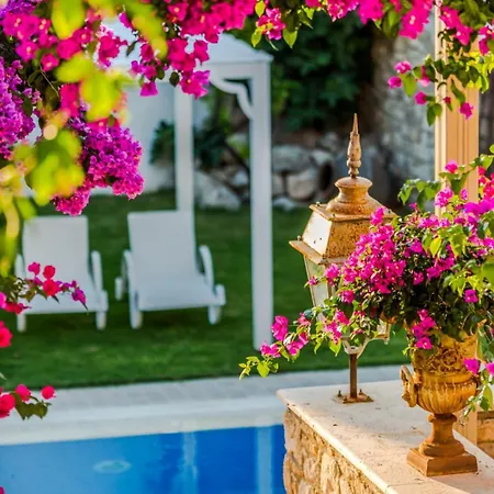 Ipekyol Avec Piscine Privee *