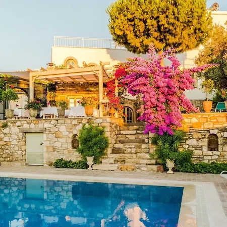 ヴィラ Ipekyol Avec Piscine Privee *