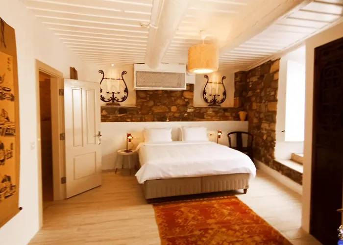 Willa Ipekyol Avec Piscine Privee *